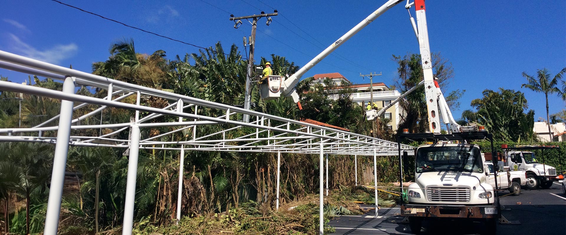 NRE worker works on a power line from the basket of an aerial lift attached to a white work truck. The power line is situated on the edge of a line of palm trees and the parking area is bordered by white metal scaffolding